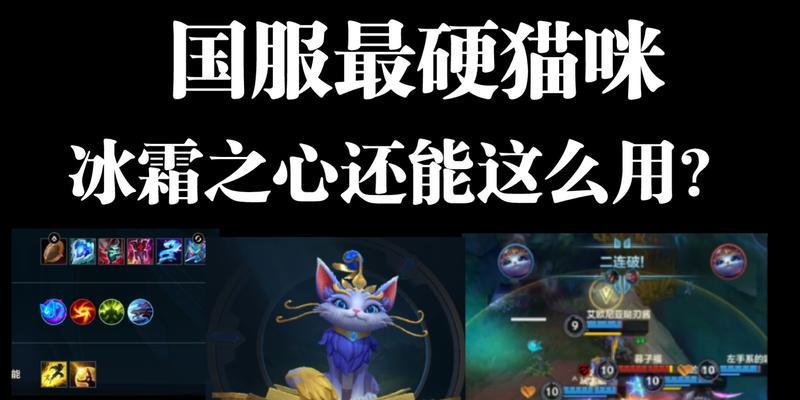 英雄娇嫩猫咪出装攻略（让你的猫咪更强大！）