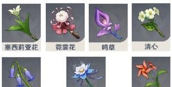 种子3通关攻略（把握机会赢得胜利，关键在于种子3的通关攻略）
