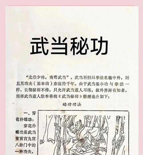 《天龙八部》武当修炼技能选择攻略（天龙武当修炼技能选择的关键是什么？）